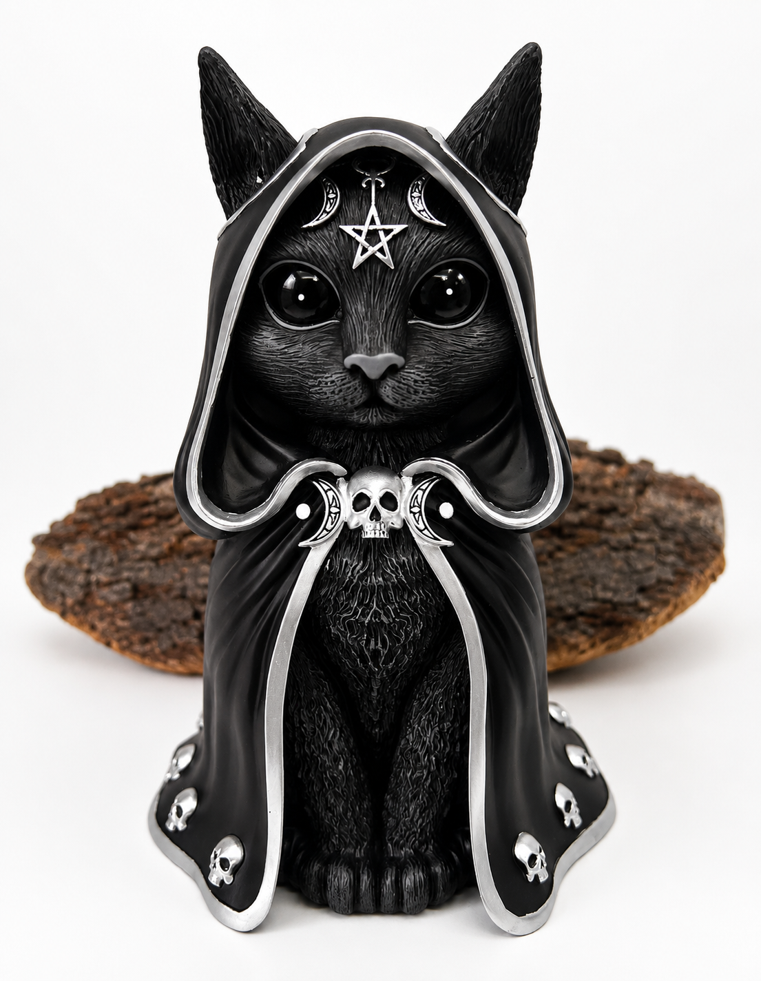 Gato negro