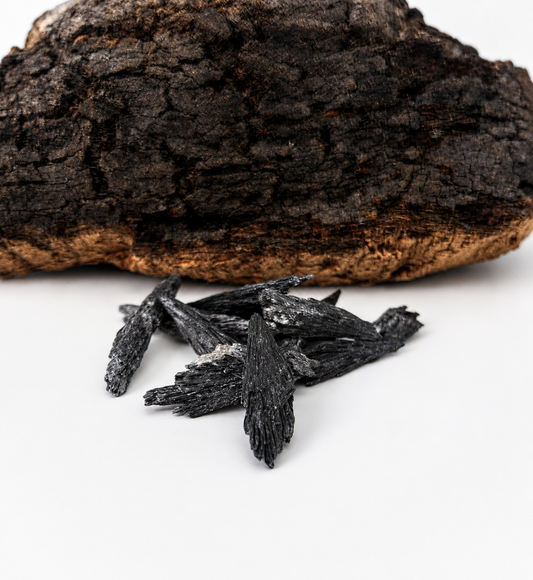 Escoba de bruja (taramita)