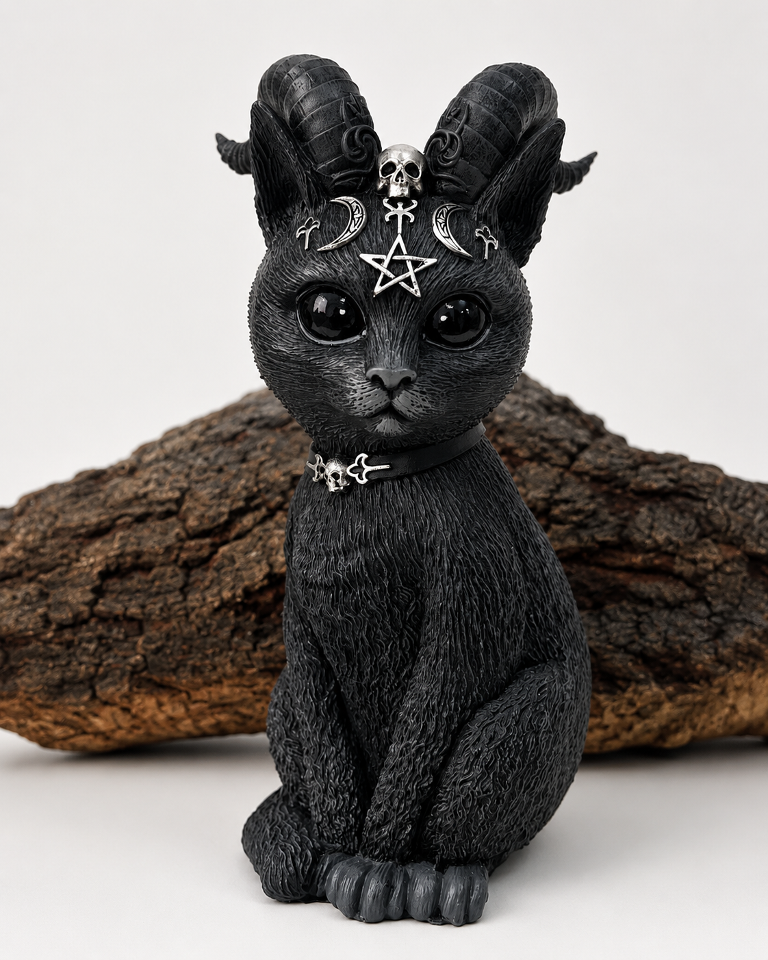 Gato negro