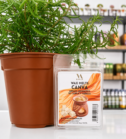 Wax melts canela y vainilla
