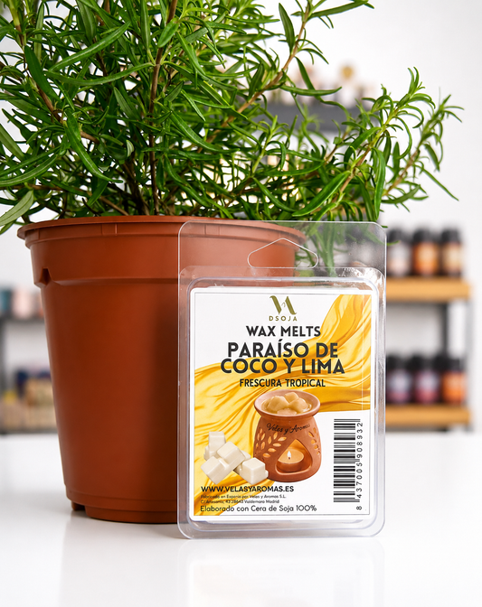 Wax melts coco y lima