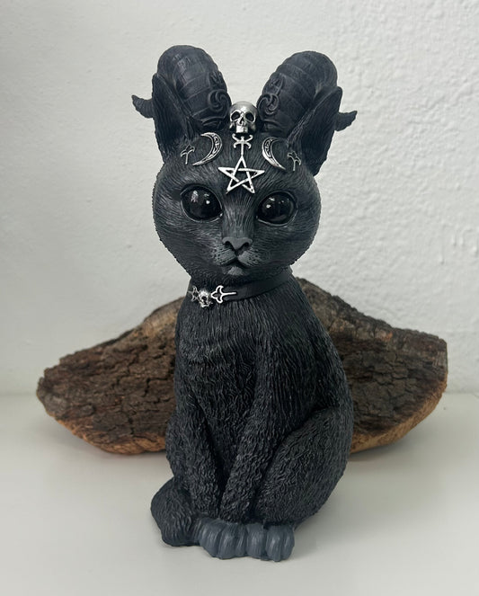 Gato negro