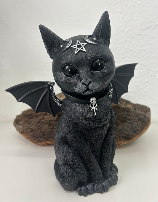 Gato negro