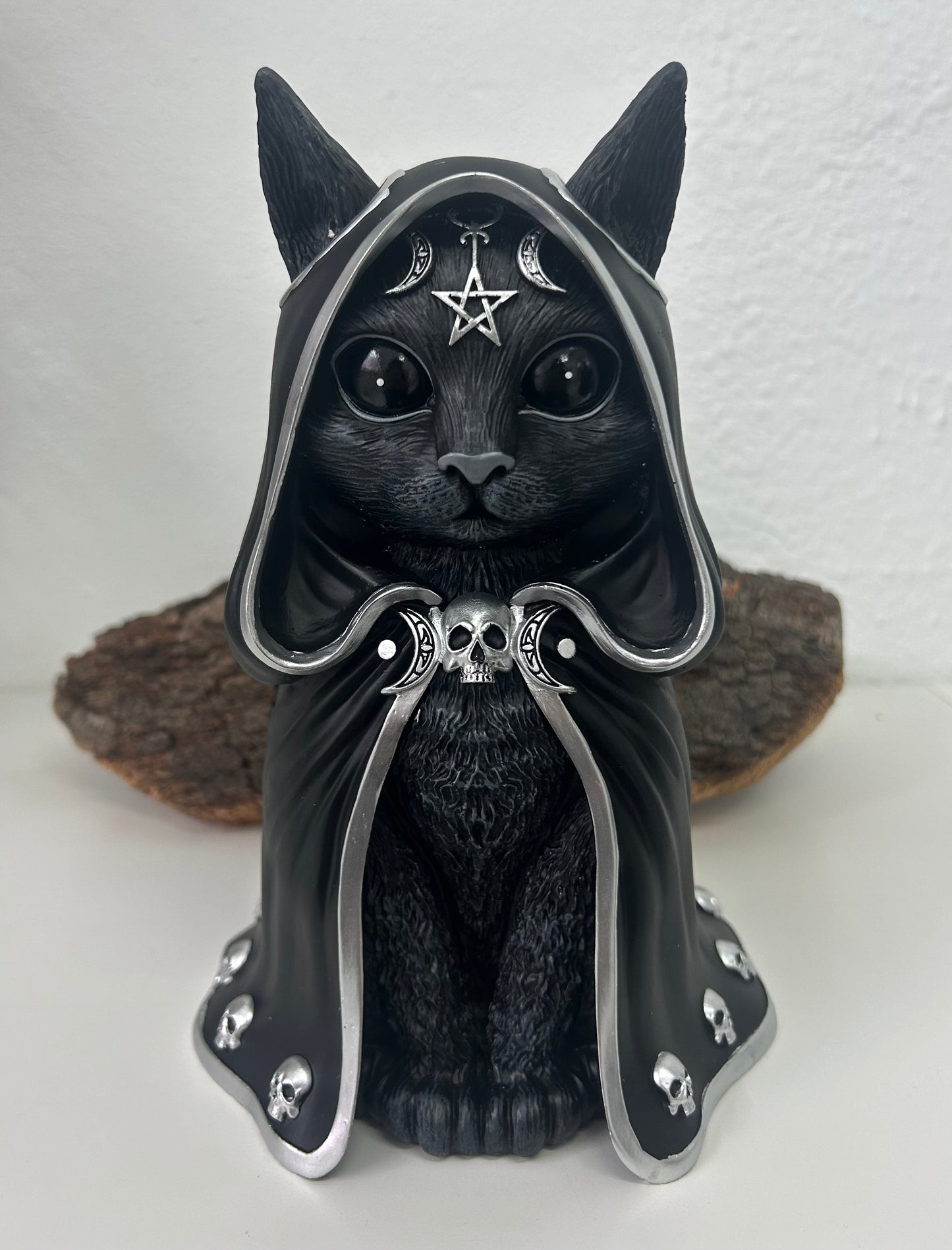 Gato negro