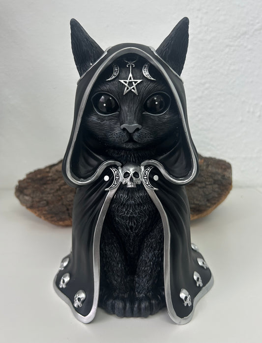 Gato negro