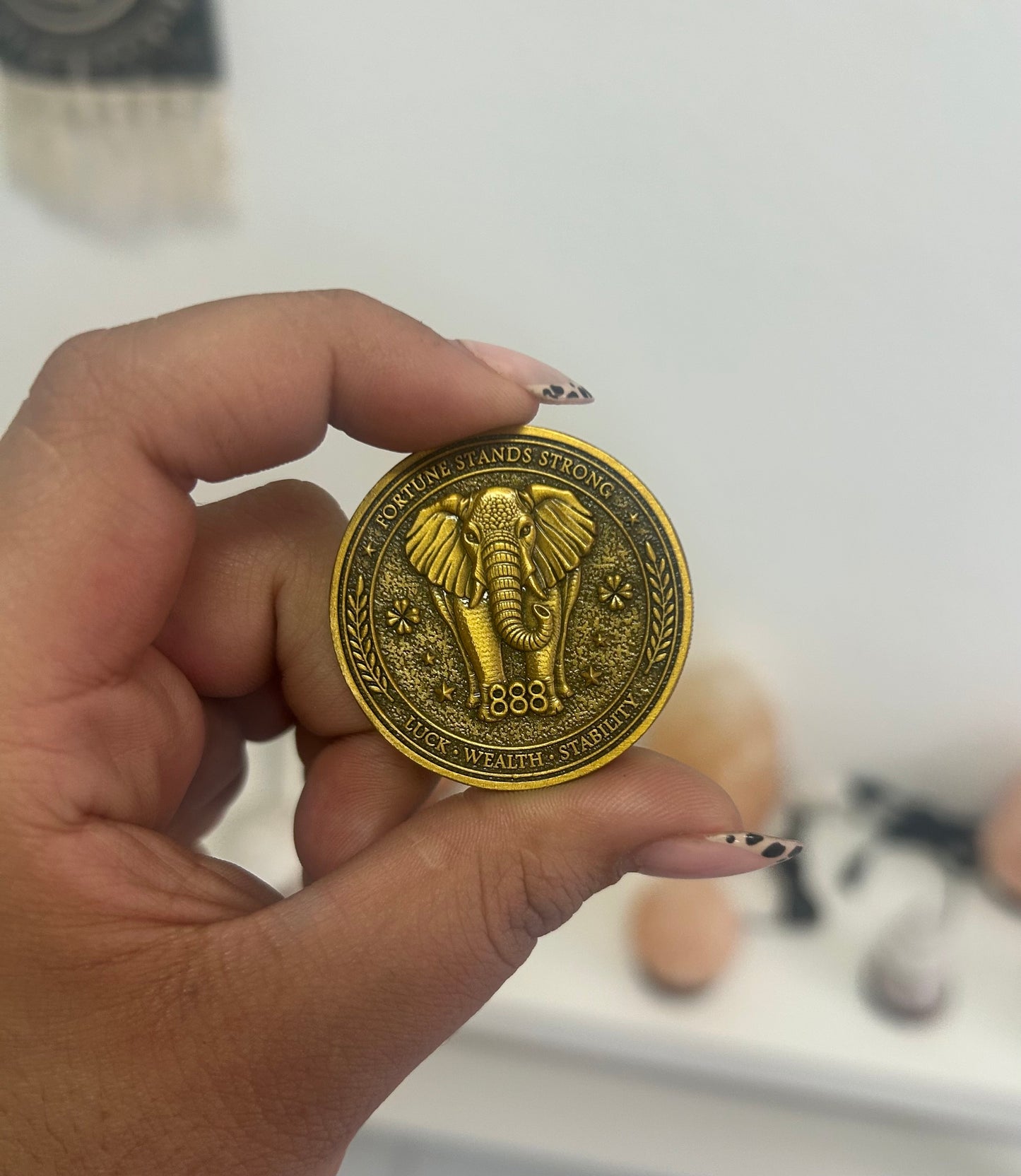 Moneda talisman suerte, éxito y abundancia
