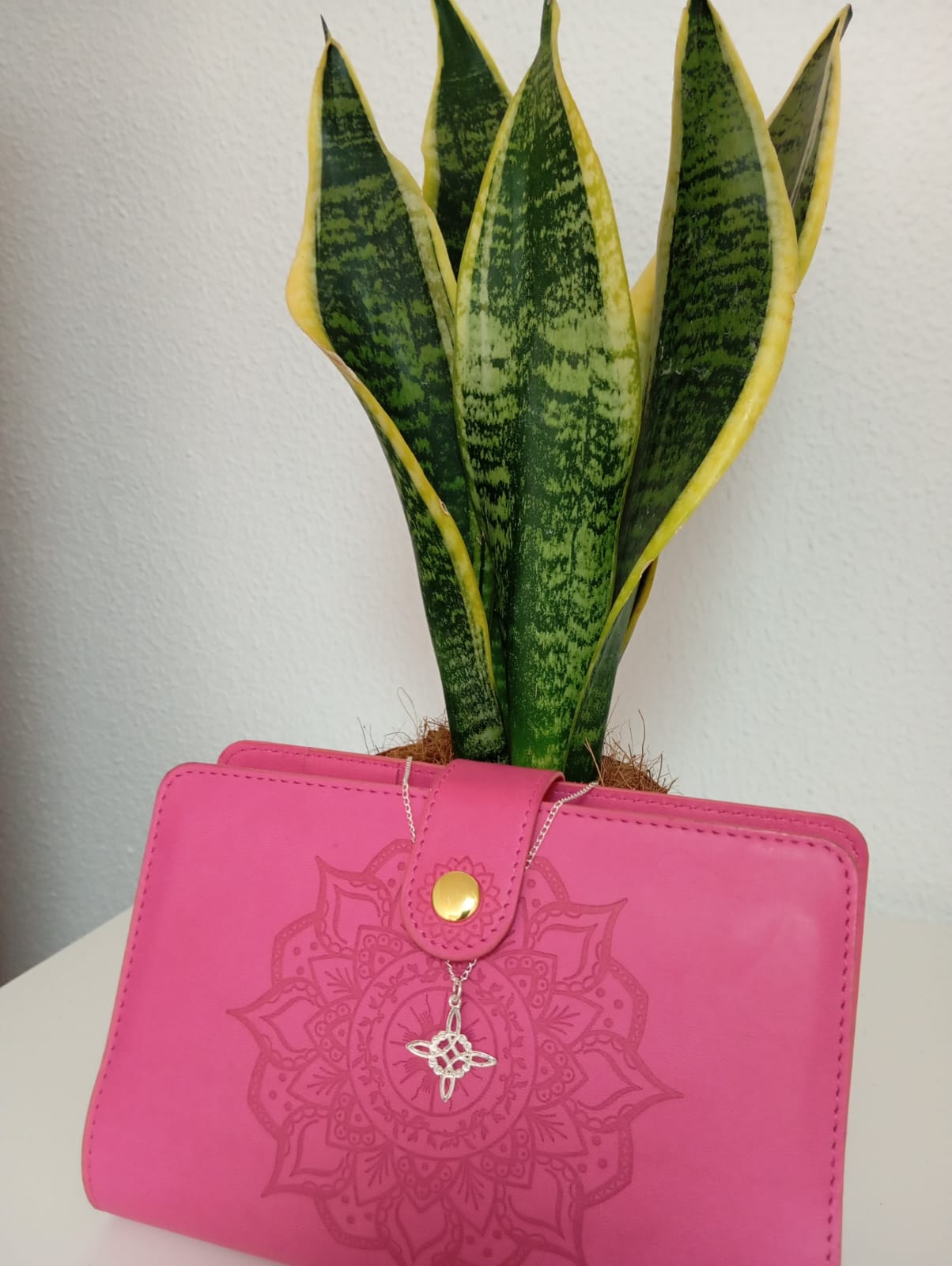 Colgante de nudo de bruja con cadena (plata).